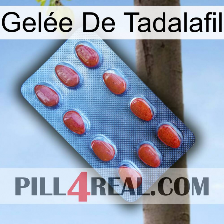 Gelée De Tadalafil 06